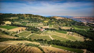 Descubriendo la bodega Tenuta Greppo, hogar del afamado vino Brunello di Montalcino 7 Descubriendo la bodega Tenuta Greppo hogar del afamado vino Brunello