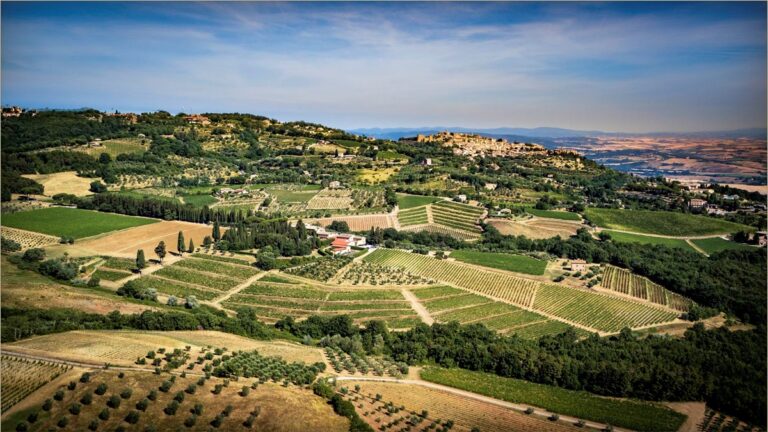 Descubriendo la bodega Tenuta Greppo, hogar del afamado vino Brunello di Montalcino 17 Descubriendo la bodega Tenuta Greppo hogar del afamado vino Brunello