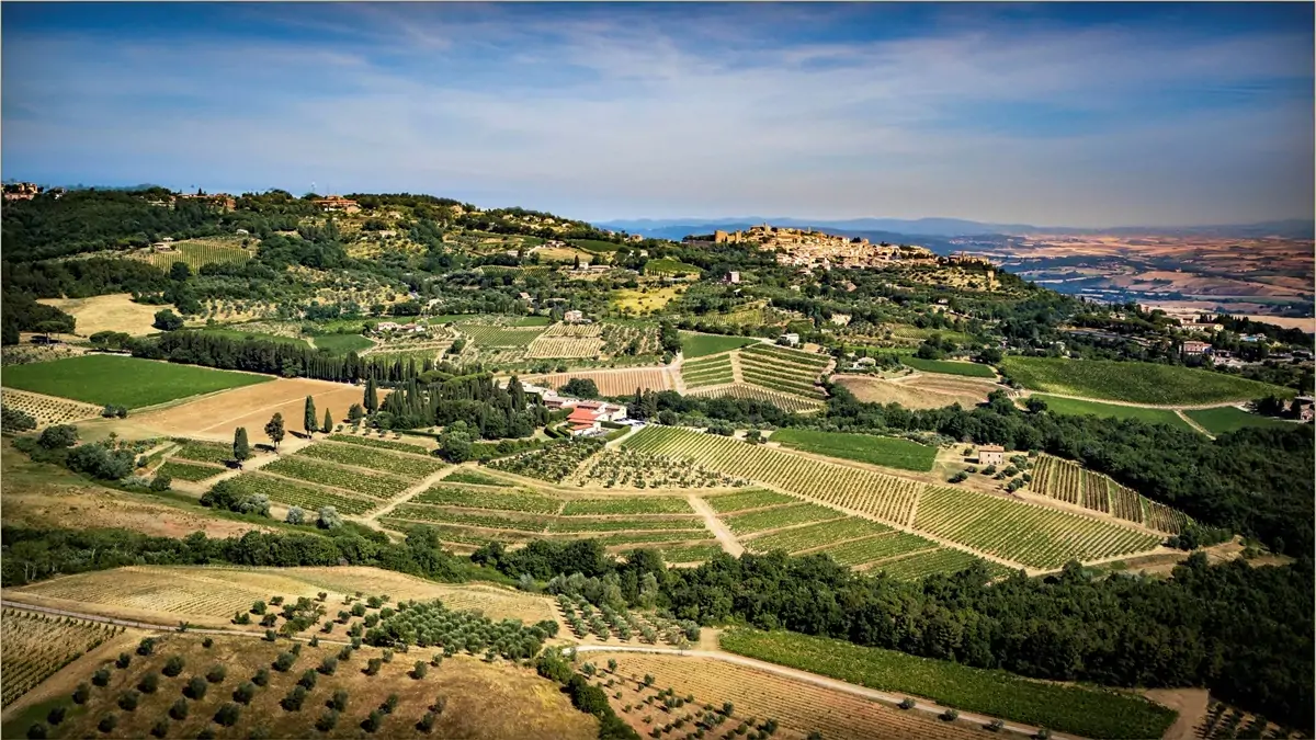 Descubriendo la bodega Tenuta Greppo, hogar del afamado vino Brunello di Montalcino
