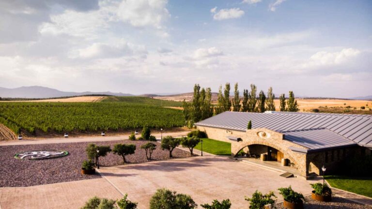 Disfruta de cata de vino a 1000 metros de altura en una encantadora finca de Guadalajara 27 Disfruta de cata de vino a 1000 metros de altura