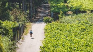 Disfruta del enoturismo a pedales por los viñedos de O Rosal en España 6 Disfruta del enoturismo a pedales por los vinedos de O