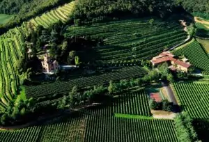 El éxito del riesgo Pinot Noir en Castello Bonomi, la joya de Franciacorta
