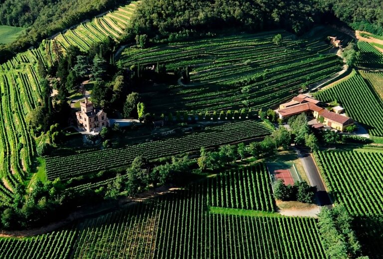 El éxito del riesgo Pinot Noir en Castello Bonomi, la joya de Franciacorta 26 El exito del riesgo Pinot Noir en Castello Bonomi la