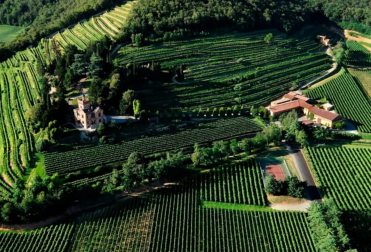El éxito del riesgo Pinot Noir en Castello Bonomi, la joya de Franciacorta 1 El éxito del riesgo Pinot Noir en Castello Bonomi, la joya de Franciacorta