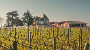 El histórico Château l´Evangile, propiedad del grupo Rothschild, destaca en Pomerol 9 El historico Chateau l´Evangile propiedad del grupo Rothschild destaca en