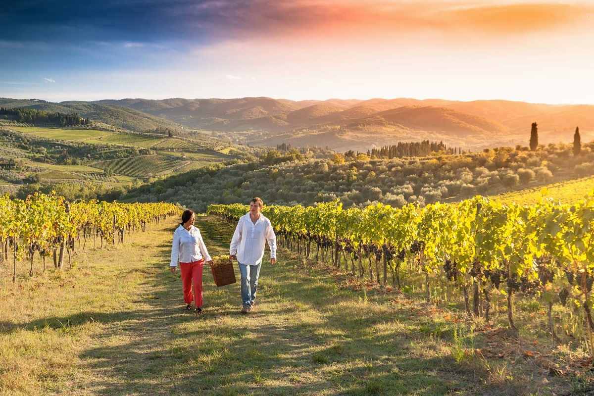 Enoturismo en auge en Italia con jovenes protagonistas y un