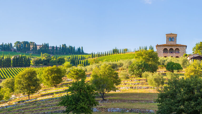 Guía para descubrir el deslumbrante viñedo italiano y su sistema de clasificación 27 Guia para descubrir el deslumbrante vinedo italiano y su sistema