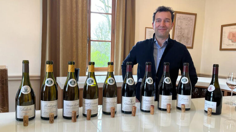 Historia y tradición en la Maison Louis Latour, el mayor dominio de Borgoña 5 Historia y tradicion en la Maison Louis Latour el mayor
