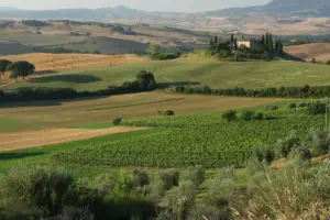 La XIII Edicion del Orcia Wine Festival llegara a San.webp