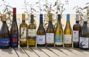 Los 10 mejores Vermentinos de la DOC Maremma Toscana se presentan en Vinitaly 11 Los 10 mejores Vermentinos de la DOC Maremma Toscana se