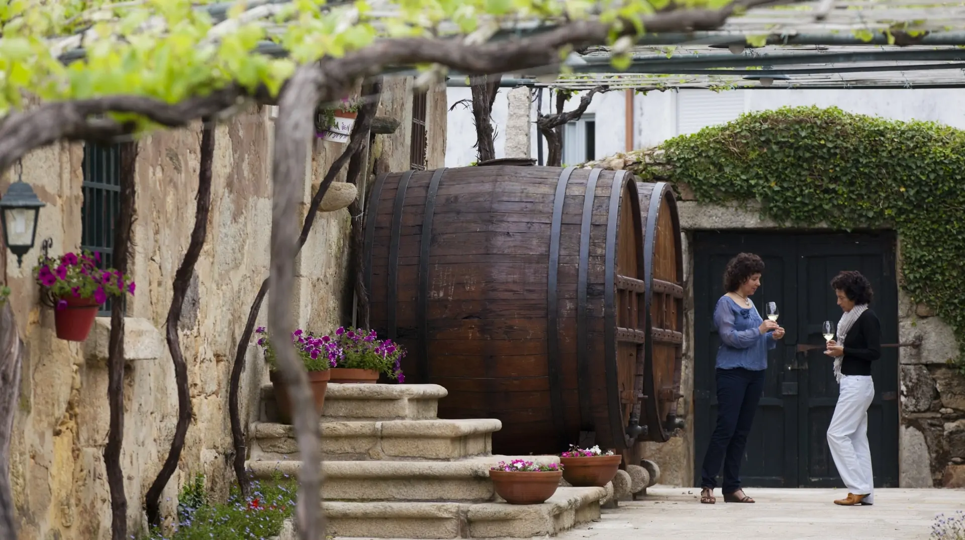 Museo etnográfico en Cambados, un viaje por la historia del vino gallego