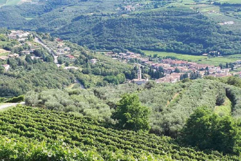 Nueva asociacion Vignaioli Valle di Mezzane debuta en Vinitaly 2024