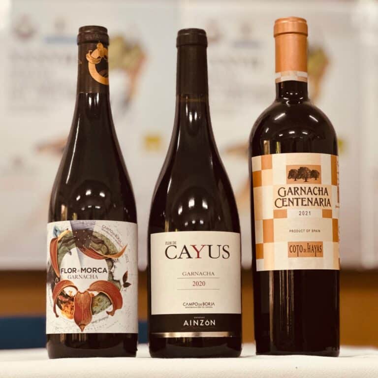 Semana Universitaria del Vino en Madrid promueve Garnachas de DOP