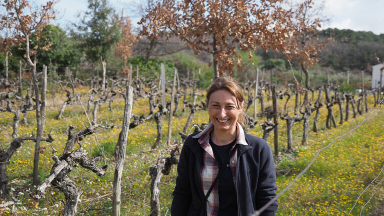Souleyrol, granja mixta en Ventoux, lanza su primera línea comercial de vinos en 2020 25 Souleyrol granja mixta en Ventoux lanza su primera linea comercial