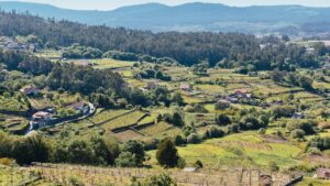 Soutomaior la mas pequena de Rias Baixas solo elabora vinos