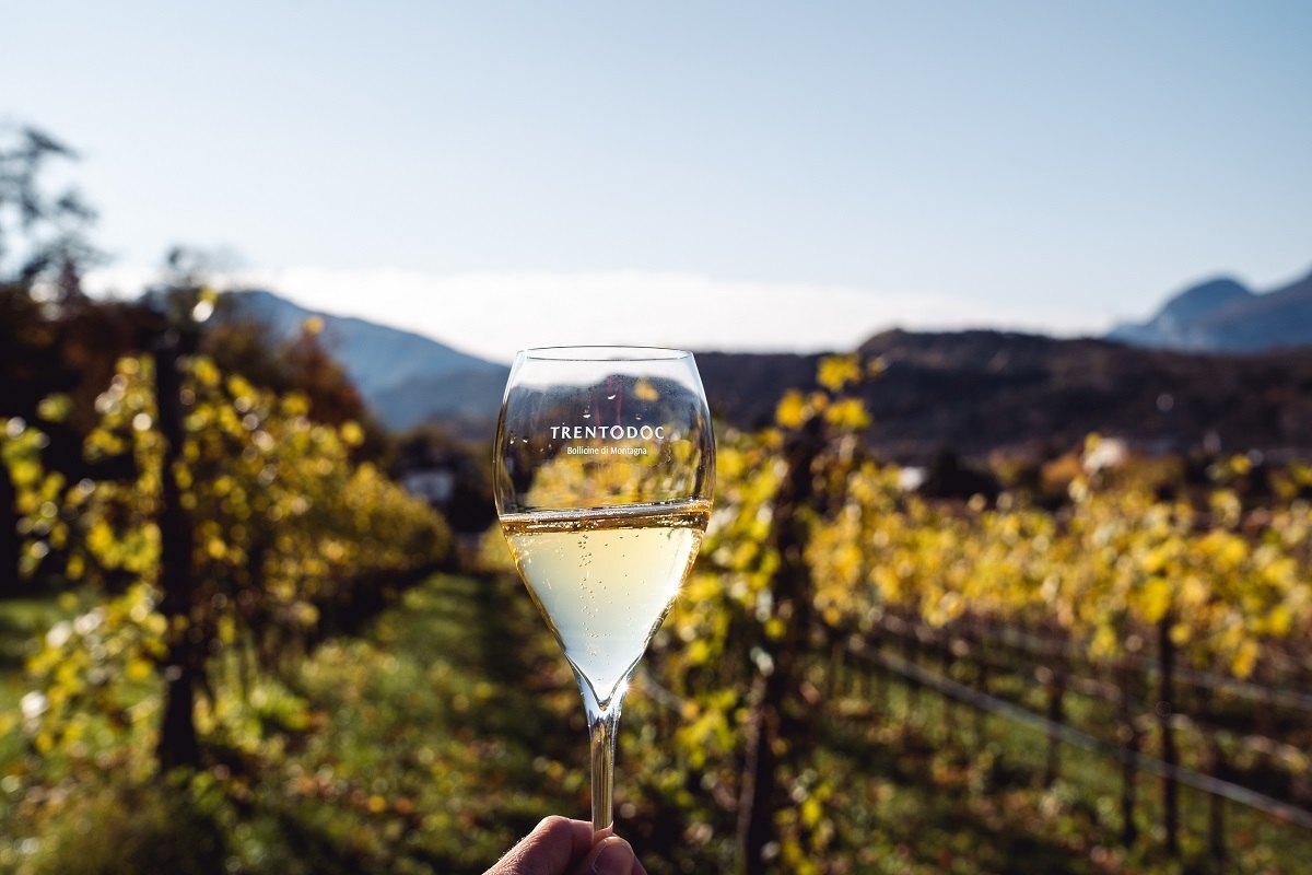 Trentodoc crece un 3% en 2023 con ventas de 185 millones de euros 1 Trentodoc crece un 3 en 2023 con ventas de 185