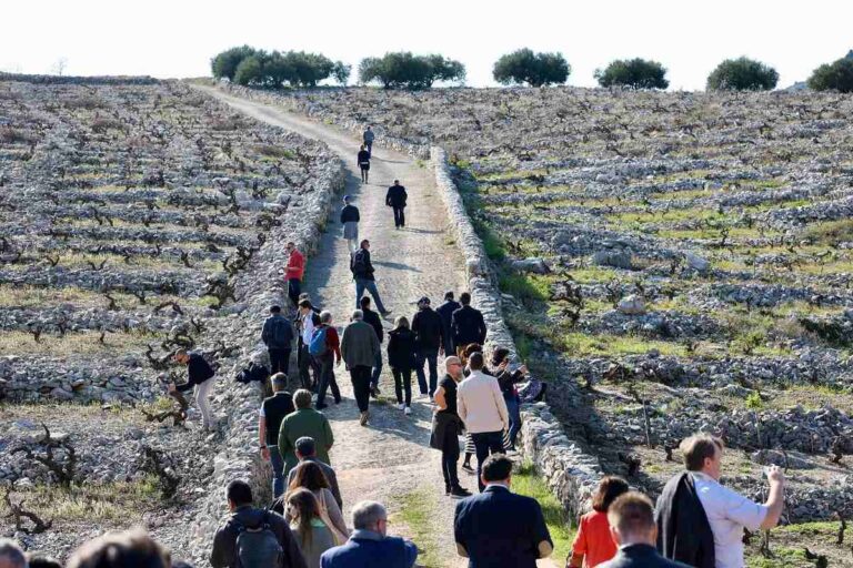 Vino rosado veneto Villa Codevigo Gaudenzia 2019 gana Gran Medaglia