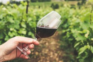 7 vinos tintos espectaculares para deslumbrar a tus invitados en Nochevieja 11 Aprende a apreciar el vino tinto con este completo guia