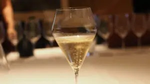 Breve introducción a la región del Champagne: su historia, estilos y el arte de la espumosidad