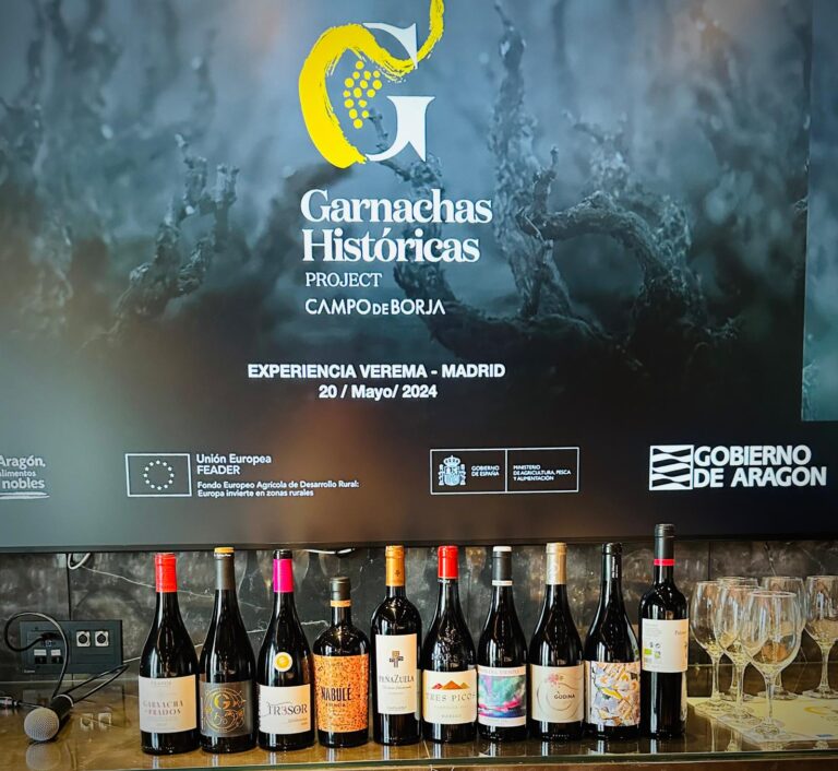 Celebrada Experiencia Verema Madrid 2024 con cata de Garnachas Históricas 7 Celebrada Experiencia Verema Madrid 2024 con cata de Garnachas Historicas