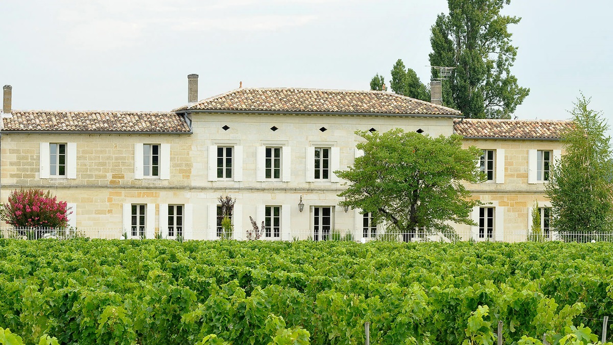 Château Grand Corbin-Despagne ofrece vino Saint-Émilion clásico y ecológico a precios especiales 1 Chateau Grand Corbin Despagne ofrece vino Saint Emilion clasico y ecologico a