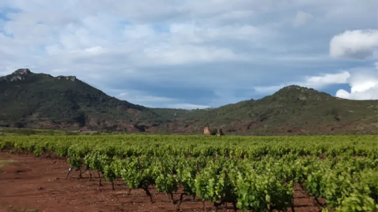 Clos Maïa, el dominio del Languedoc que expresa la pura esencia de sus vinos