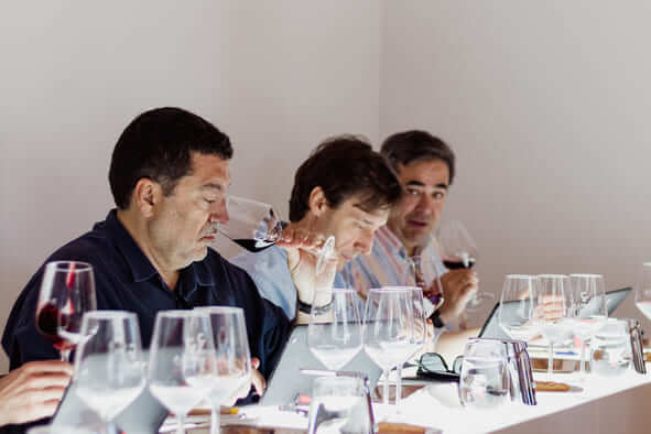 Comienzan las catas del 30 Certamen de Calidad Vinos DOP