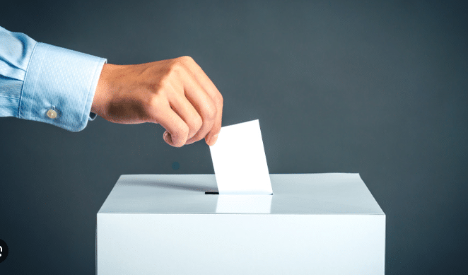 Consejo DOP Cangas inicia elecciones para vocales hasta 2028 1 Consejo DOP Cangas inicia elecciones para vocales hasta 2028