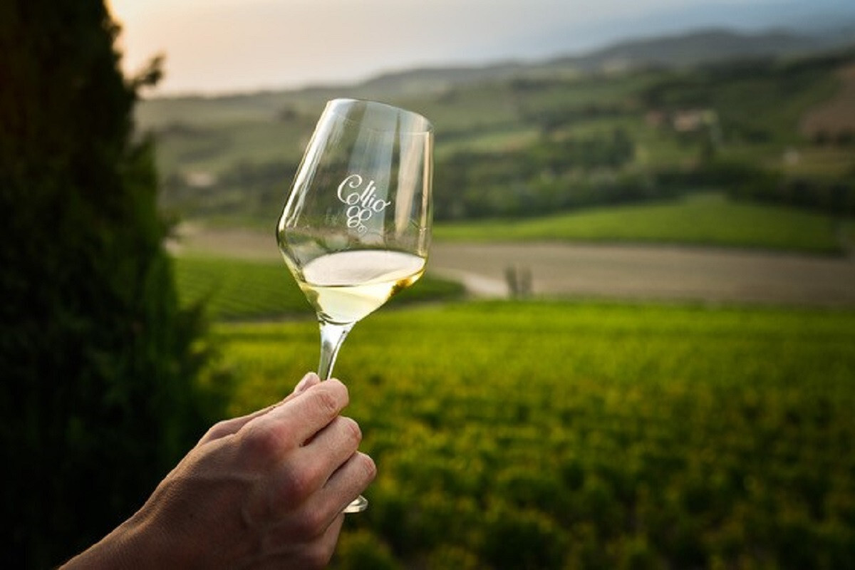 Consorzio Collio celebra su 60 aniversario con enfoque en sostenibilidad 1 Consorzio Collio celebra su 60 aniversario con enfoque en sostenibilidad