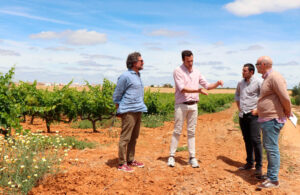 DOP Condado de Huelva presentará nueva zonificación andaluza en VINOBLE 2024 9 DOP Condado de Huelva presentara nueva zonificacion andaluza en VINOBLE