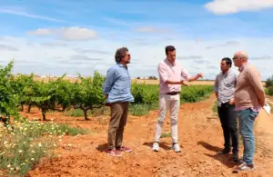 DOP Condado de Huelva presentará nueva zonificación andaluza en VINOBLE 2024
