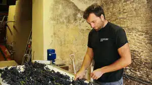 Domaine Mayard: nuevos vinos destacados por su elegancia y respeto al medio ambiente