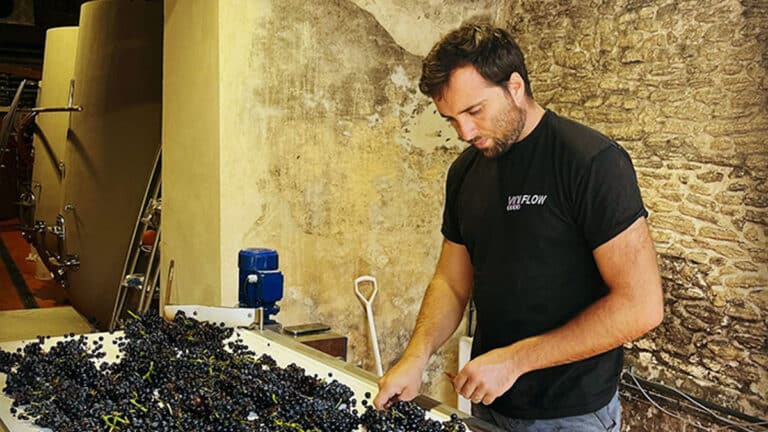 Domaine Mayard: nuevos vinos destacados por su elegancia y respeto al medio ambiente 36 Domaine Mayard nuevos vinos destacados por su elegancia y respeto