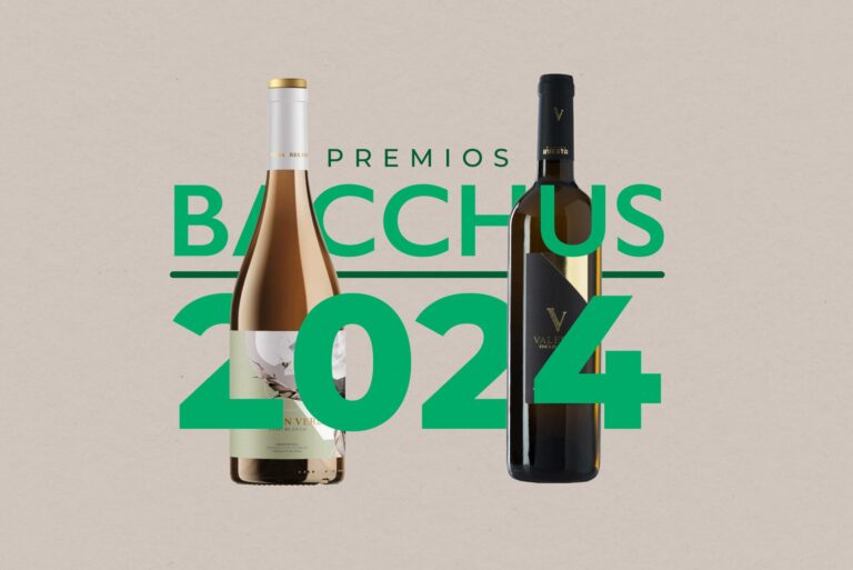 Dos vinos manchegos ganan oro y plata en Bacchus 2024 16 Dos vinos manchegos ganan oro y plata en Bacchus 2024