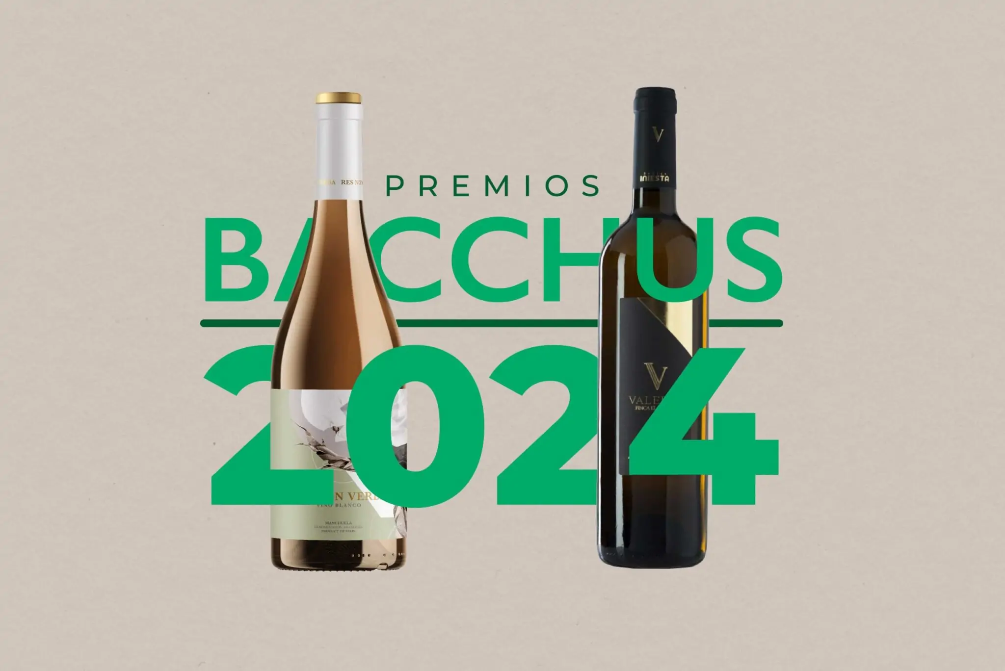 Dos vinos manchegos ganan oro y plata en Bacchus 2024 1 Dos vinos manchegos ganan oro y plata en Bacchus 2024