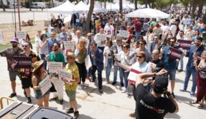 La Mancha celebra el 'día vino do' con otras 35 denominaciones de origen 12 La Mancha celebra el dia vino do con otras 35