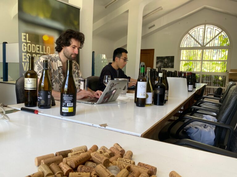 La mejor version de la godello en Espana esta en