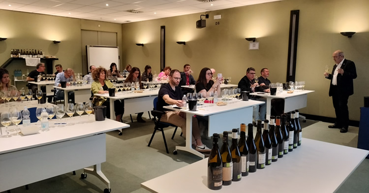 Madrid acoge la primera edición del Salón de Vinos de Ribeiro 1 Madrid acoge la primera edicion del Salon de Vinos de