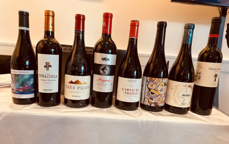 Masterclass de vinos DOP Campo de Borja en Londres destacando la Garnacha 26 Masterclass de vinos DOP Campo de Borja en Londres destacando