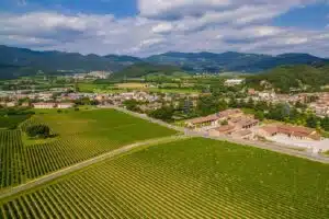 Mosnel ofrece experiencias vinícolas exclusivas con picnics y aperitivos en Franciacorta