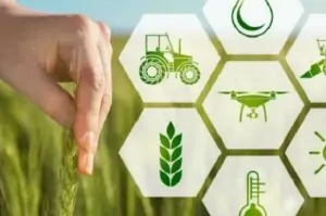 Producción agrícola en Italia crece un 3% en 2023 pese a caída del vino