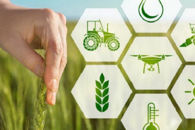 Producción agrícola en Italia crece un 3% en 2023 pese a caída del vino 23 Produccion agricola en Italia crece un 3 en 2023 pese
