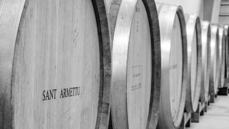 Sant Armettu, vinos corsos con sello familiar que enamoran en cada sorbo 2 Sant Armettu vinos corsos con sello familiar que enamoran en