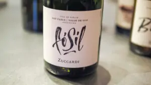 Sebastian Zuccardi revoluciona bodega argentina con innovadores métodos vinícolas