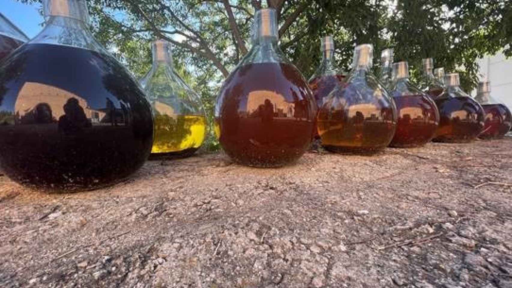 Sidra de hielo asturiana arrasa en todos los concursos y gana reconocimiento mundial 1 Sidra de hielo asturiana arrasa en todos los concursos y