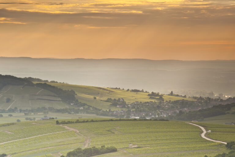 Un vistazo a los vinos de Sancerre, joyas de la Vallée de la Loire 50 Un vistazo a los vinos de Sancerre joyas de la