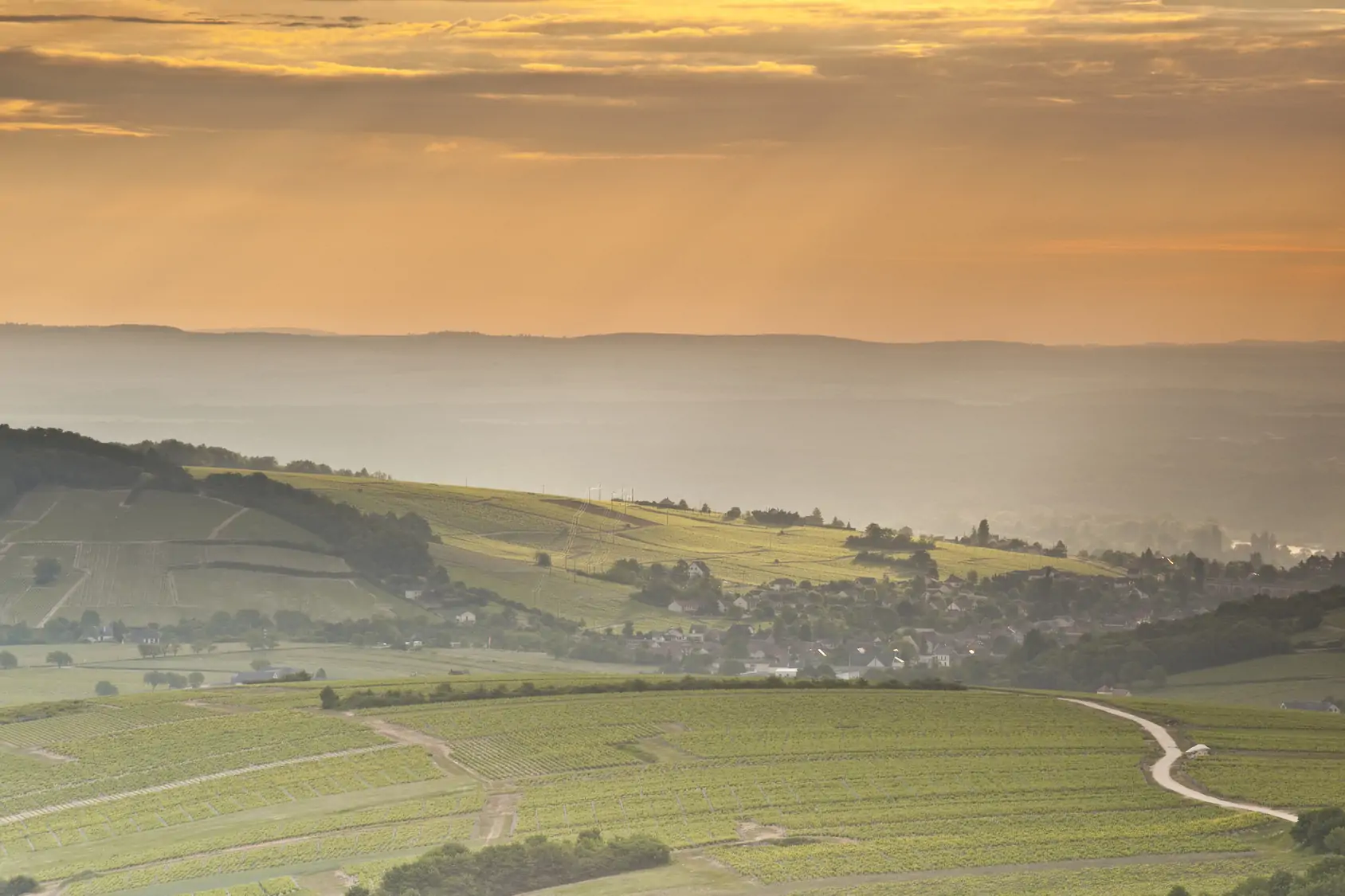 Un vistazo a los vinos de Sancerre, joyas de la Vallée de la Loire 1 Un vistazo a los vinos de Sancerre, joyas de la Vallée de la Loire