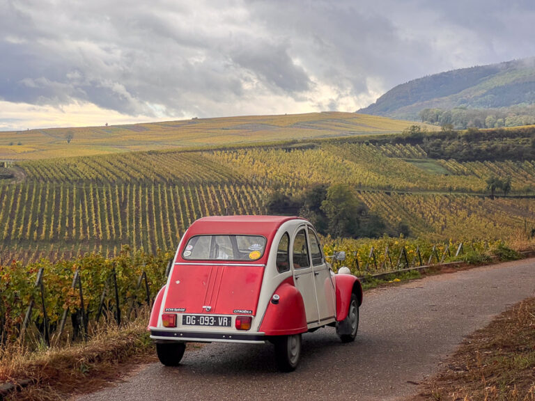 Vinos excepcionales de Barmès-Buecher, destacado productor biológico de Alsacia 51 Vinos excepcionales de Barmes Buecher destacado productor biologico de Alsacia