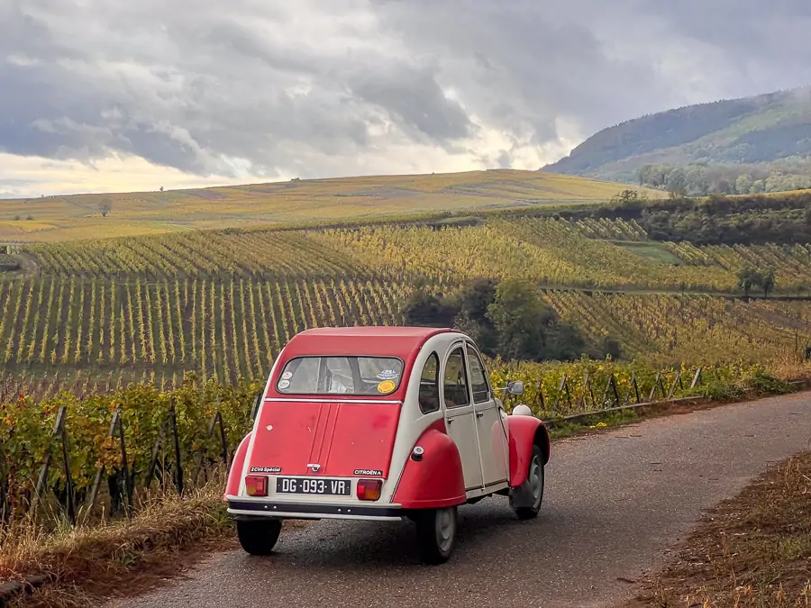 Vinos excepcionales de Barmès-Buecher, destacado productor biológico de Alsacia 1 Vinos excepcionales de Barmès-Buecher, destacado productor biológico de Alsacia