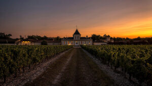 Château Brane-Cantenac: cuatro siglos de historia y excelencia en vinos de Margaux 10 Chateau Brane Cantenac Cuatro siglos de historia y excelencia en vinos